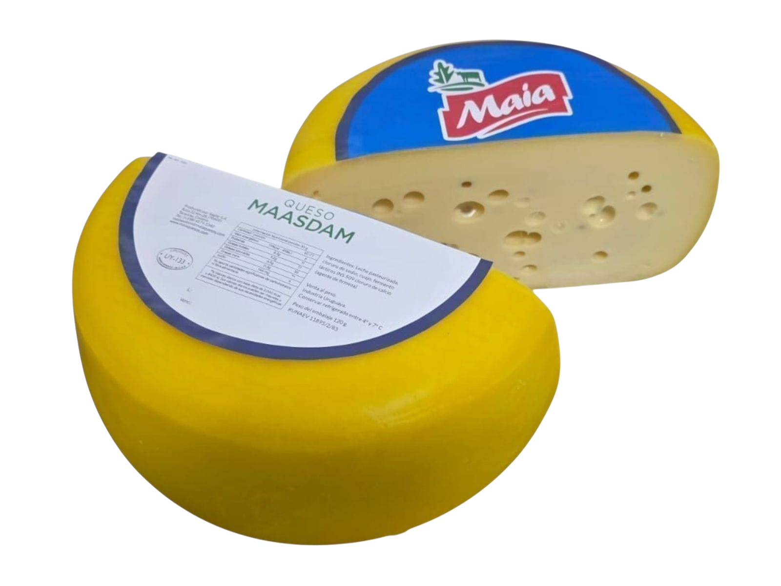 Queso Maasdam